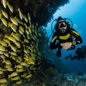 PADI Dive Courses